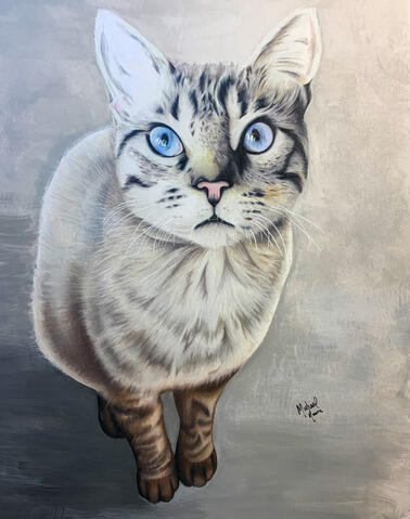 drawing of the artist's friend's cat